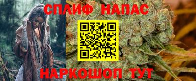прущие грибы Канаш