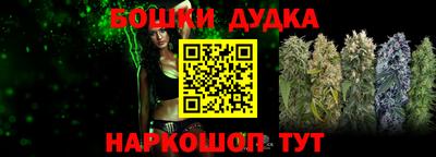 стаф Камышлов
