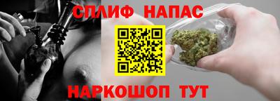 прущие грибы Канаш