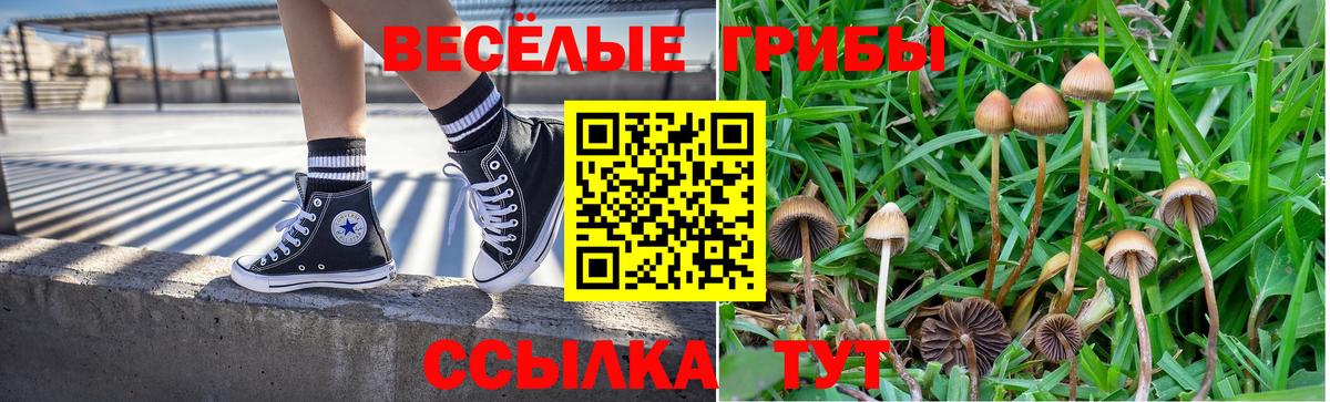 Галлюциногенные грибы прущие грибы Котельники