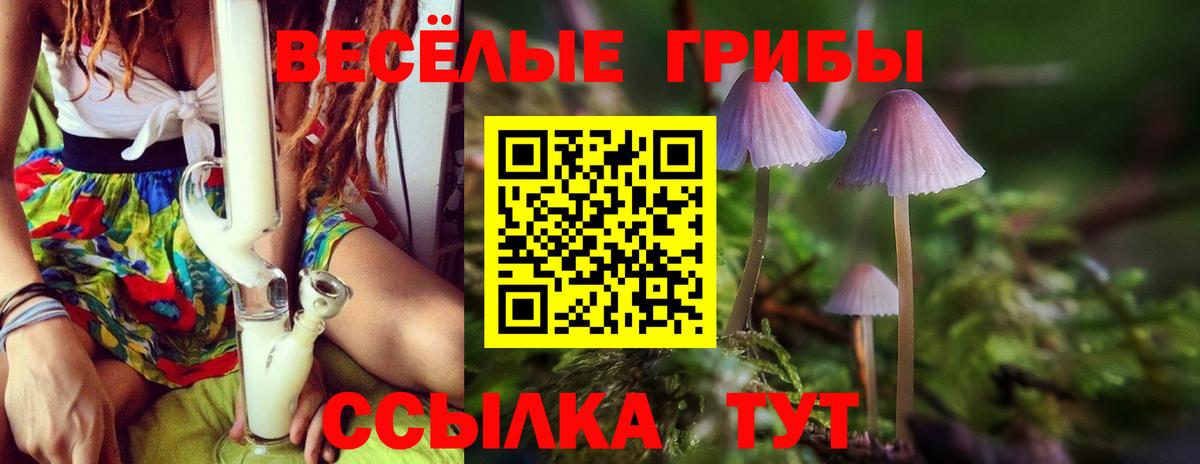 Псилоцибиновые грибы Psilocybe  Псилоцибиновые грибы Psilocybine cubensis  Вход с VPN  Котельники 
